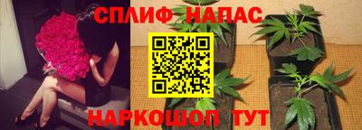 spice Балашиха