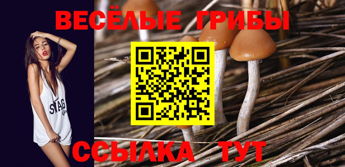 Железногорск  Псилоцибиновые грибы MAGIC MUSHROOMS  Вход с VPN 