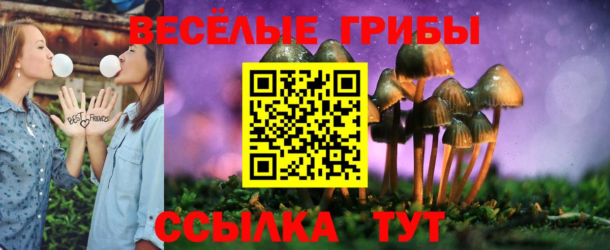 Псилоцибиновые грибы GOLDEN TEACHER Железногорск
